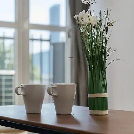 Cozy With Amazing View Of The By Renters Apartment *